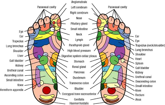 Reflexology Foot and Hand massage at home by licensed reflexologist massage therapist.